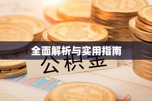 陆丰全面解析与实用指南