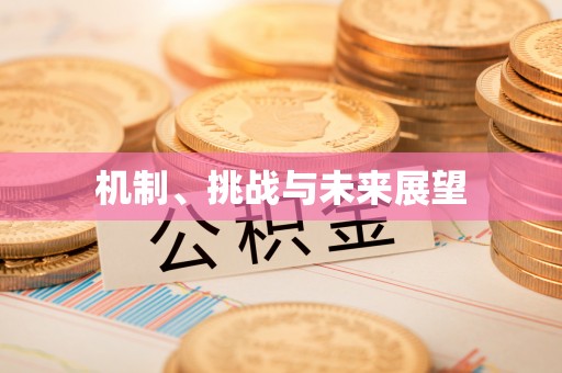 陆丰机制、挑战与未来展望